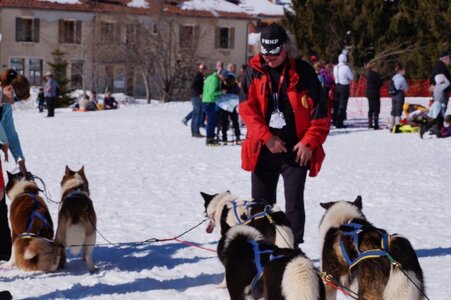 La Pesse 2014  Course de chiens de traineau  (dimanche 09/03/2014), DSC05760