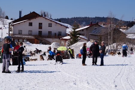 La Pesse 2014  Course de chiens de traineau  (dimanche 09/03/2014), DSC05761