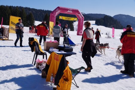 La Pesse 2014  Course de chiens de traineau  (dimanche 09/03/2014), DSC05763