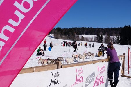 La Pesse 2014  Course de chiens de traineau  (dimanche 09/03/2014), DSC05772