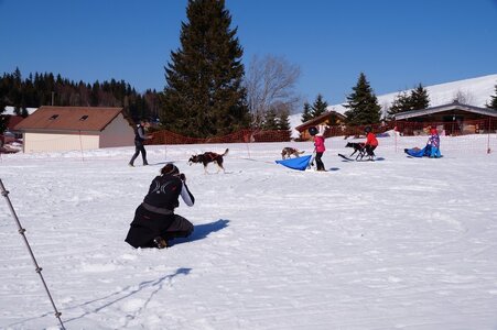 La Pesse 2014  Course de chiens de traineau  (dimanche 09/03/2014), DSC05777