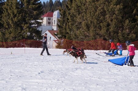 La Pesse 2014  Course de chiens de traineau  (dimanche 09/03/2014), DSC05778
