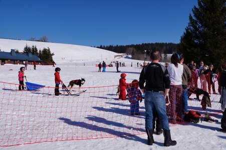 La Pesse 2014  Course de chiens de traineau  (dimanche 09/03/2014), DSC05780