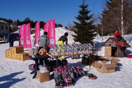 La Pesse 2014  Course de chiens de traineau  (dimanche 09/03/2014), DSC05786