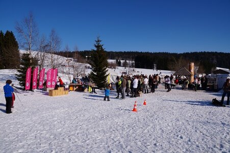 La Pesse 2014  Course de chiens de traineau  (dimanche 09/03/2014), DSC05795