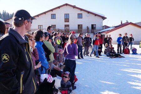 La Pesse 2014  Course de chiens de traineau  (dimanche 09/03/2014), DSC05813