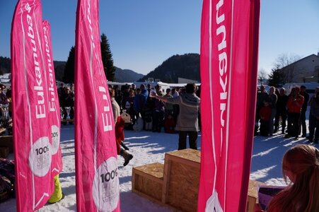 La Pesse 2014  Course de chiens de traineau  (dimanche 09/03/2014), DSC05818