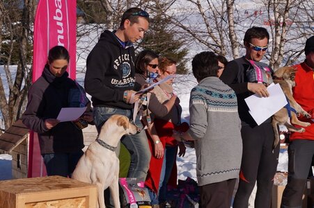 La Pesse 2014  Course de chiens de traineau  (dimanche 09/03/2014), DSC05826