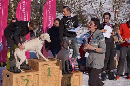 La Pesse 2014  Course de chiens de traineau  (dimanche 09/03/2014), DSC05827