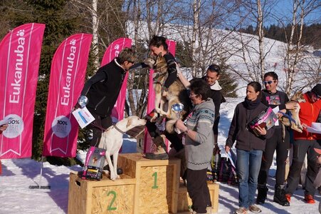 La Pesse 2014  Course de chiens de traineau  (dimanche 09/03/2014), DSC05828