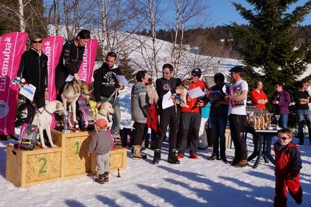 La Pesse 2014  Course de chiens de traineau  (dimanche 09/03/2014), DSC05829