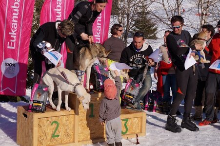 La Pesse 2014  Course de chiens de traineau  (dimanche 09/03/2014), DSC05831