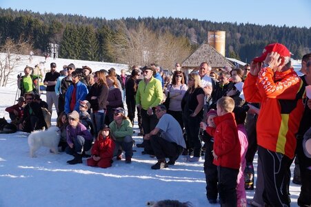 La Pesse 2014  Course de chiens de traineau  (dimanche 09/03/2014), DSC05842