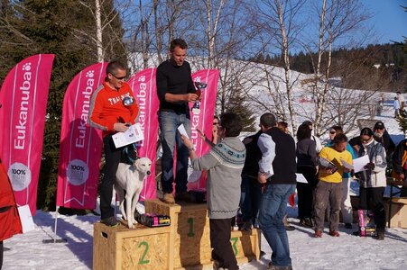 La Pesse 2014  Course de chiens de traineau  (dimanche 09/03/2014), DSC05843