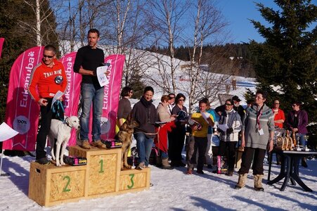 La Pesse 2014  Course de chiens de traineau  (dimanche 09/03/2014), DSC05844