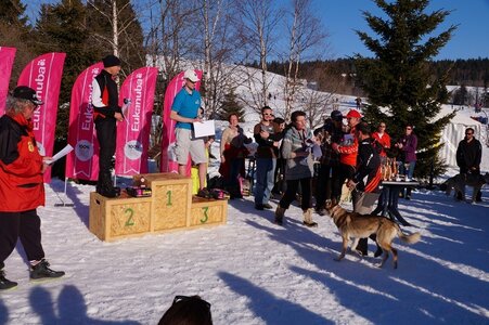 La Pesse 2014  Course de chiens de traineau  (dimanche 09/03/2014), DSC05846