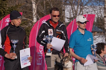 La Pesse 2014  Course de chiens de traineau  (dimanche 09/03/2014), DSC05848
