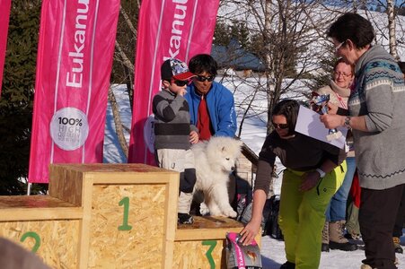 La Pesse 2014  Course de chiens de traineau  (dimanche 09/03/2014), DSC05849