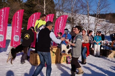 La Pesse 2014  Course de chiens de traineau  (dimanche 09/03/2014), DSC05852