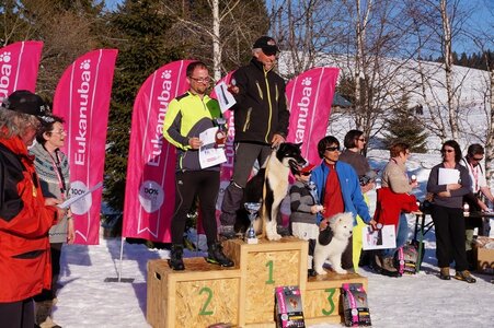 La Pesse 2014  Course de chiens de traineau  (dimanche 09/03/2014), DSC05856