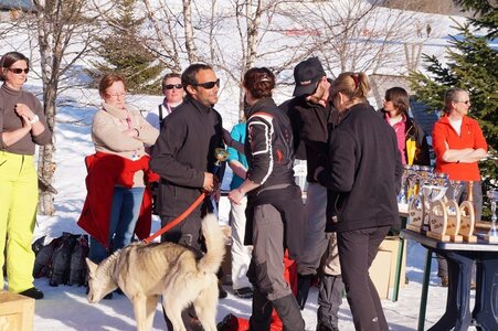 La Pesse 2014  Course de chiens de traineau  (dimanche 09/03/2014), DSC05867