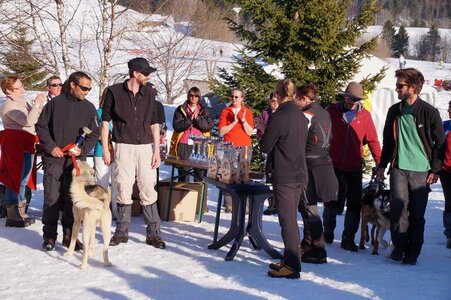 La Pesse 2014  Course de chiens de traineau  (dimanche 09/03/2014), DSC05868