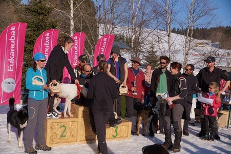 La Pesse 2014  Course de chiens de traineau  (dimanche 09/03/2014), DSC05871
