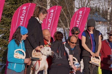 La Pesse 2014  Course de chiens de traineau  (dimanche 09/03/2014), DSC05872