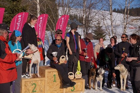 La Pesse 2014  Course de chiens de traineau  (dimanche 09/03/2014), DSC05874