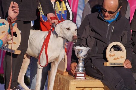 La Pesse 2014  Course de chiens de traineau  (dimanche 09/03/2014), DSC05876