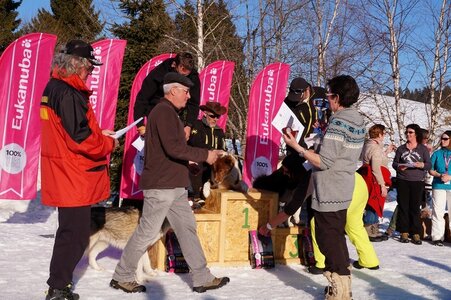 La Pesse 2014  Course de chiens de traineau  (dimanche 09/03/2014), DSC05890