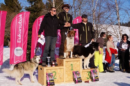 La Pesse 2014  Course de chiens de traineau  (dimanche 09/03/2014), DSC05893