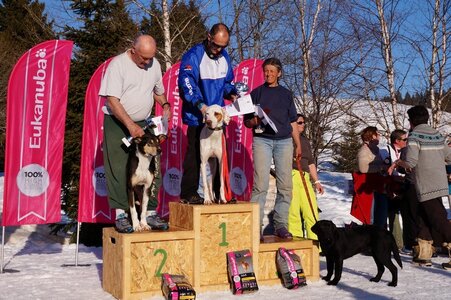 La Pesse 2014  Course de chiens de traineau  (dimanche 09/03/2014), DSC05900