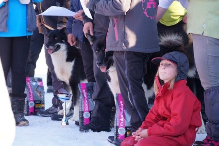 La Pesse 2014  Course de chiens de traineau  (dimanche 09/03/2014), DSC05901