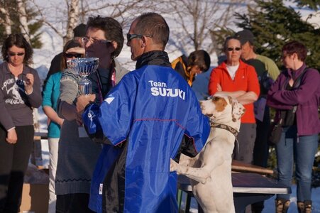 La Pesse 2014  Course de chiens de traineau  (dimanche 09/03/2014), DSC05915