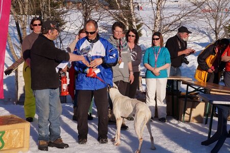 La Pesse 2014  Course de chiens de traineau  (dimanche 09/03/2014), DSC05916