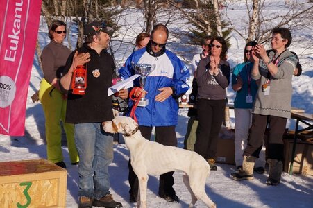 La Pesse 2014  Course de chiens de traineau  (dimanche 09/03/2014), DSC05917