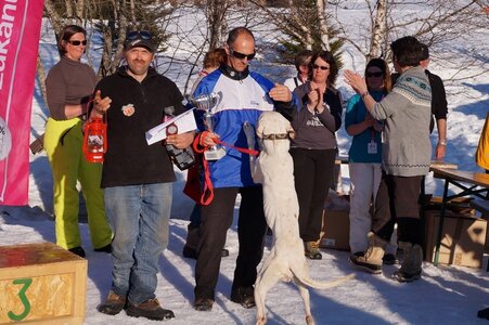 La Pesse 2014  Course de chiens de traineau  (dimanche 09/03/2014), DSC05918