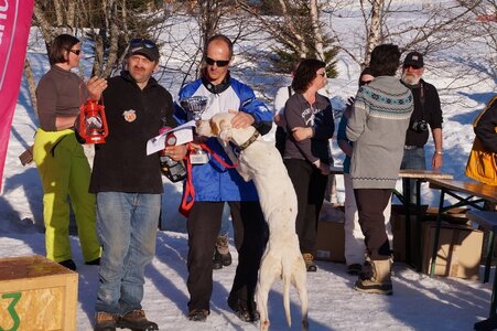 La Pesse 2014  Course de chiens de traineau  (dimanche 09/03/2014), DSC05919