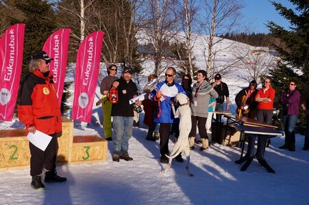La Pesse 2014  Course de chiens de traineau  (dimanche 09/03/2014), DSC05920