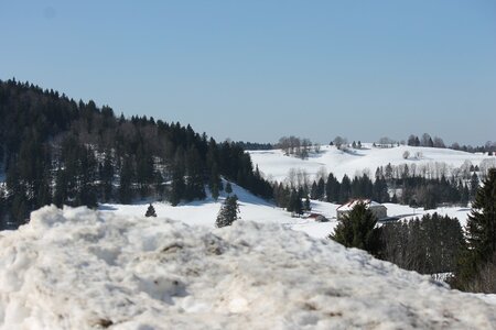 La Pesse 2014  Course de chiens de traineau  (dimanche 09/03/2014), IMG_4540