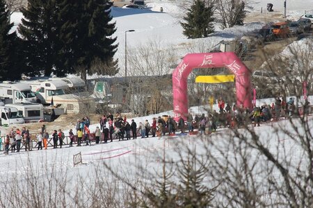 La Pesse 2014  Course de chiens de traineau  (dimanche 09/03/2014), IMG_4545