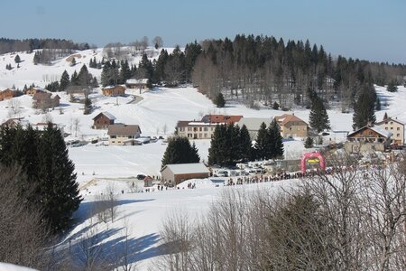 La Pesse 2014  Course de chiens de traineau  (dimanche 09/03/2014), IMG_4546