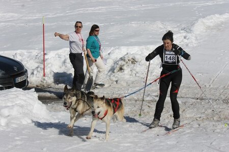 La Pesse 2014  Course de chiens de traineau  (dimanche 09/03/2014), IMG_4555