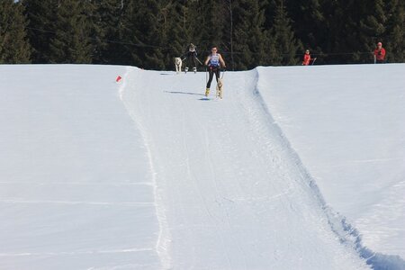 La Pesse 2014  Course de chiens de traineau  (dimanche 09/03/2014), IMG_4557