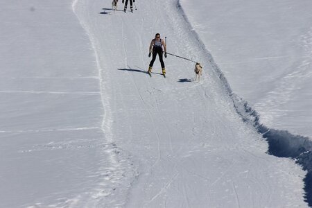 La Pesse 2014  Course de chiens de traineau  (dimanche 09/03/2014), IMG_4558
