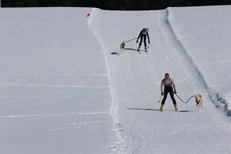 La Pesse 2014  Course de chiens de traineau  (dimanche 09/03/2014), IMG_4559