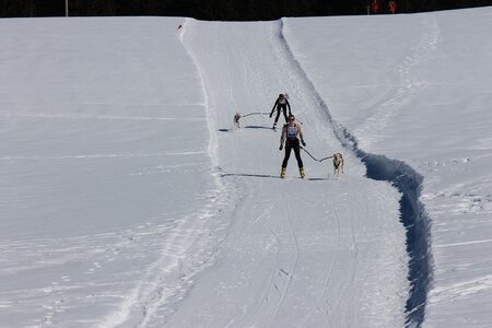 La Pesse 2014  Course de chiens de traineau  (dimanche 09/03/2014), IMG_4560