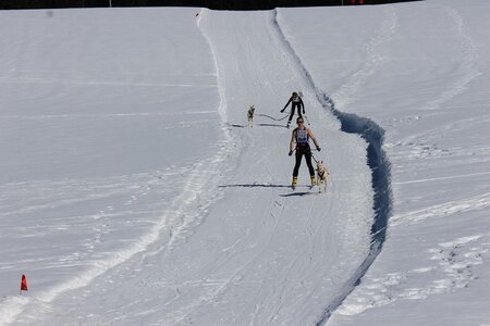 La Pesse 2014  Course de chiens de traineau  (dimanche 09/03/2014), IMG_4561