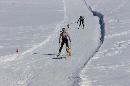 La Pesse 2014  Course de chiens de traineau  (dimanche 09/03/2014), IMG_4562